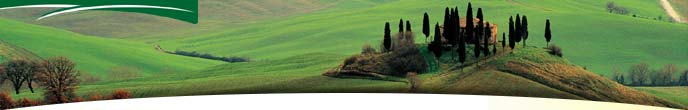 Landscape and nature