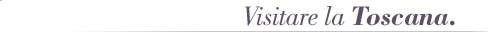 Visitare